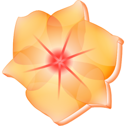 Illustrator CS2